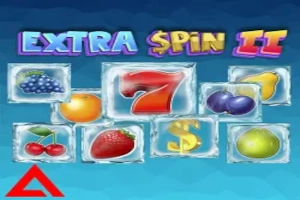 Extra Spin 2